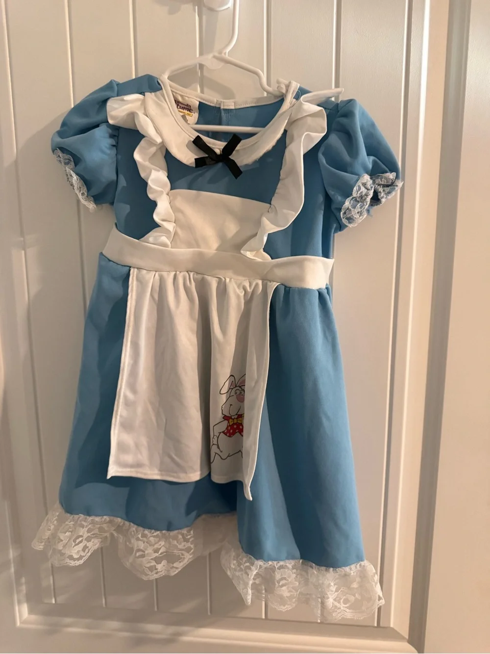 California Costume Alice in Wonderland Dress Costume 3T 4T